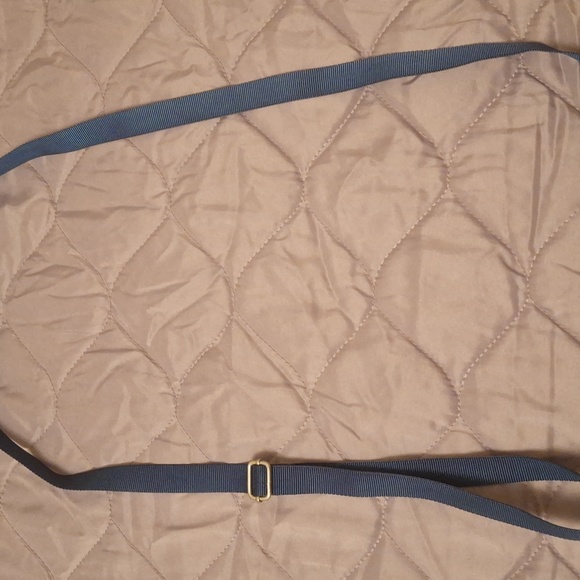 Gorgeous Baggalini Crossbody Bag.  Great for summer travel! - Picture 3 of 11